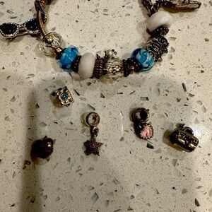 Used Pandora bracelet with non Pandora charms.